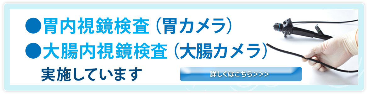 胃内視鏡検査（胃カメラ）、大腸内視鏡検査（大腸カメラ）実施しています